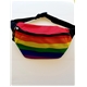 Rainbow Wrist Bag